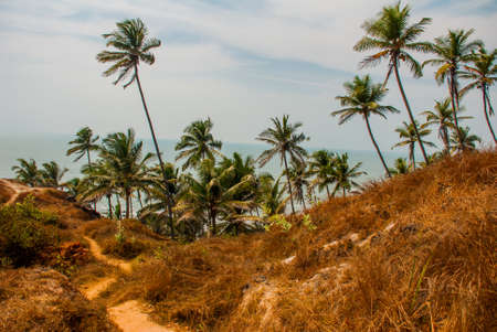 Beauty Arambol beach landscape, Goa state, Indiaの写真素材