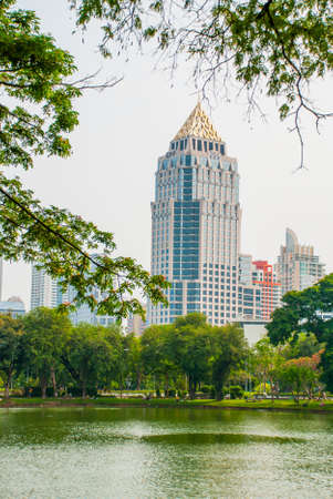 The Park in the summer at a pond in Bangkok is Skyscrapers in the distance. Thailand.