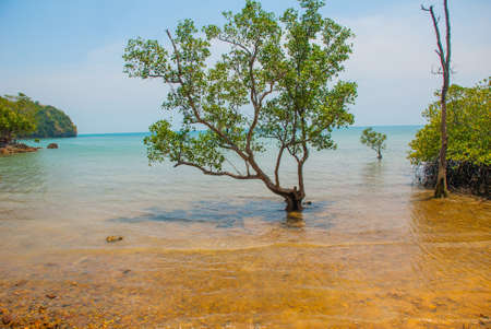 Beautiful landscape. The sea and the mountains, the Islands. Krabi, Thailand.