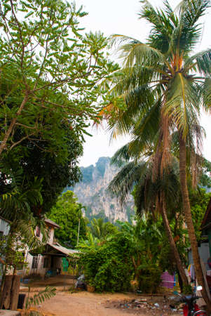 Beautiful landscape. Krabi, Ao Nang, Thailand.