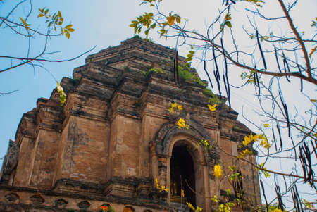Beautiful Buddhist temple in the city Chiangmai. Thailandの写真素材