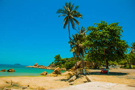 Beautiful beach with palm trees and seas. Nha Trang. Vietnamの写真素材