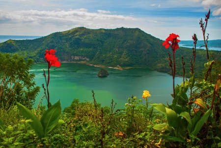 Taal and beautiful flowers in Tagaytay, Vulcan Point. Philippinesの写真素材