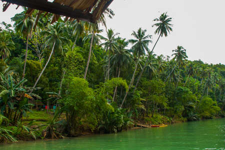 River with palm trees, beautiful landscape, island of Bohol. Philippinesの写真素材
