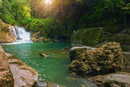 Deep forest beautiful waterfall National Park island of Bohol. Philippinesの写真素材