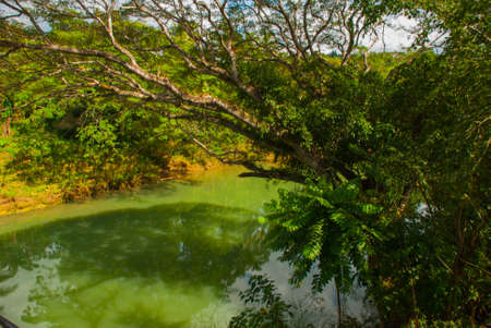 Beautiful river on a background of green bushes with trees, Bohol Island, Philippines. Southeast Asiaの写真素材