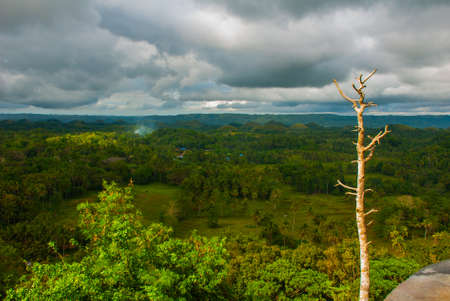 Chocolate Hills, Bohol Island, Philippines Southeast Asiaの写真素材