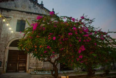 Our Lady of the Immaculate Conception catholic Church at Oslob in Sebu, Philippines in the eveningの写真素材