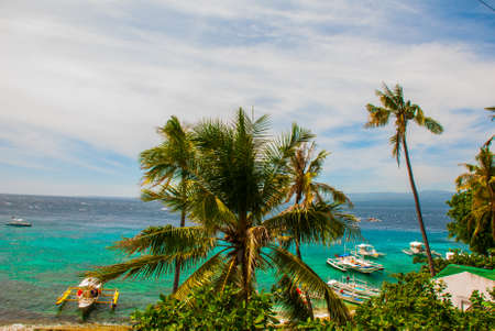 Apo island,Philippines, view on island beach line. Palm trees, sea and boats. The tropical landscape, view from the top.の写真素材