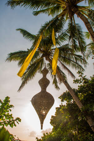 Beautiful palm trees against the blue sky. Boracay island, Philippinesの写真素材