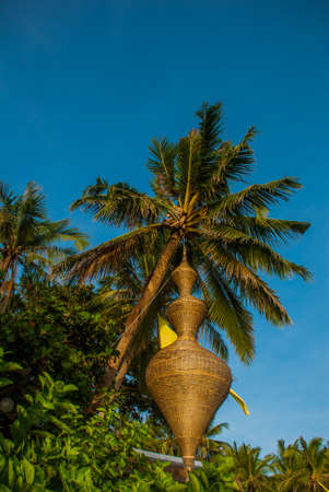 Beautiful palm trees against the blue sky. Boracay island, Philippinesの写真素材