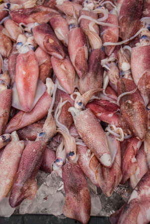 Shrimp sale. Seafood on ice at the fish market. Malaysiaの写真素材