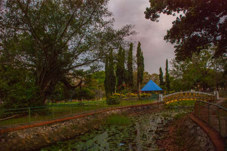 Overgrown pond with water lilies in the evening in the Park. Sabah, Malaysia. Kota Kinabalu