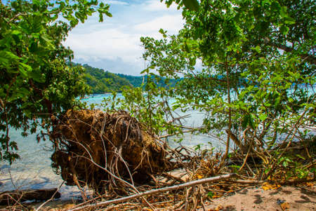 Beautiful landscape, view from the island of SAPI with views of the sea and the island of Gaia. Sabah, Malaysia.の写真素材