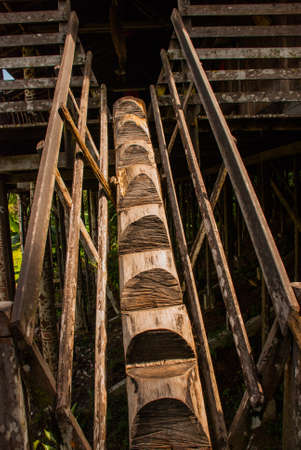The wooden post in the form of a ladder. Traditional wooden houses Rumah Orang Ulu Kuching to Sarawak Culture village. Borneo, Malaysiaの写真素材