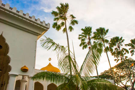 Beautiful Masjid At-Taqwa mosque with its Golden dome and palm trees. Miri city, Borneo, Sarawak Malaysiaの写真素材
