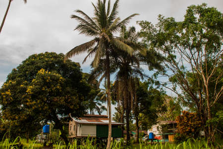Traditional village in Malaysia, houses on stilts, Borneo island, Sabah. The main characteristic of a typical Malay kampung house is built on stilts or piles, to avoid wild animals and floods.の写真素材