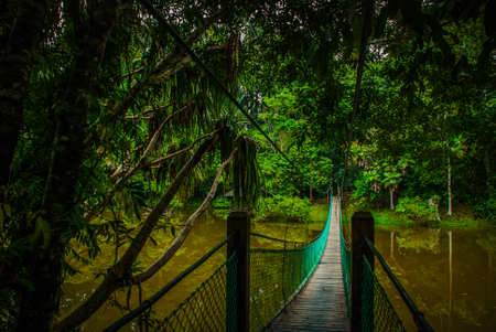 The suspension bridge over the lake in the summer, Borneo, Sabah Malaysia