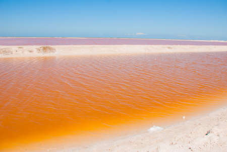 Striking red pool used in the production of salt near Rio Lagartos, Mexico, Yucatan.の写真素材