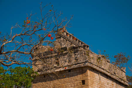Ancient Mayan city. Destroyed buildings and pyramids in the forest. Fragment of the building against the sky. Chichen-Itza, Mexico. Yucatan.の写真素材
