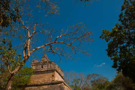 Ancient Mayan city. Destroyed buildings and pyramids in the forest. Fragment of the building against...