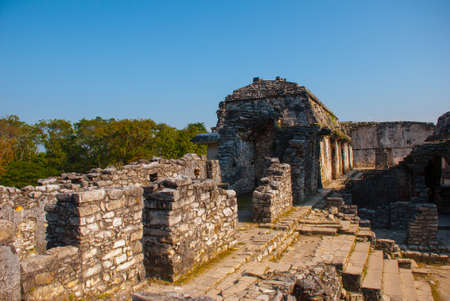 Palenque-the remains of an ancient Mayan civilization, well-preserved in the Selva of the southern state of Chiapas in southern Mexico. Palenque, Chiapas, Mexicoの写真素材