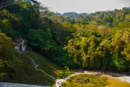 Mayan ruins taken over by lush jungle. Palenque, Chiapas, Mexico. Palenque ruins Chiapas Mexico