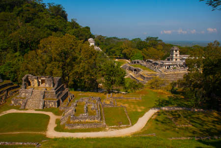 Top view of the jungle and the ancient Mayan city. The famous archaeological complex. Mayan ruins in...