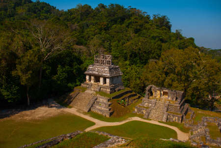 Top view of the jungle and the ancient Mayan city. The famous archaeological complex. Mayan ruins in...