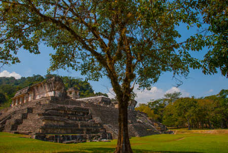 Palenque, Chiapas, Mexico: Mayan ruins taken over by lush jungle. Ancient Mayan city.