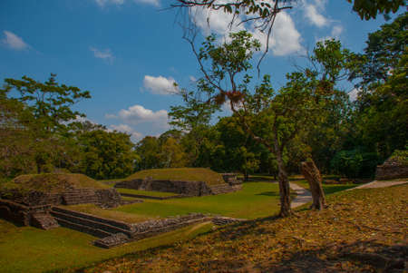 Palenque, Chiapas, Mexico: Mayan ruins taken over by lush jungle. Ancient Mayan city.