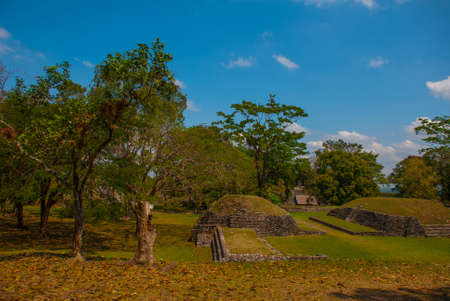 Palenque, Chiapas, Mexico: Mayan ruins taken over by lush jungle. Ancient Mayan city.