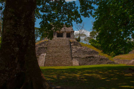 Palenque, Chiapas, Mexico: Ancient Mayan pyramid with steps among the trees in Sunny weather....