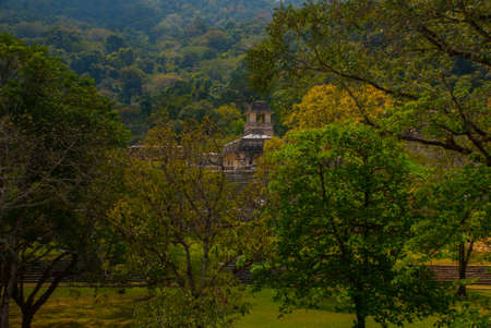 Chiapas, Mexico. Palenque. Landscape in the ancient city of Mayaの写真素材