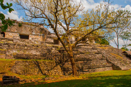 Chiapas, Mexico. Palenque. Landscape in the ancient city of Maya