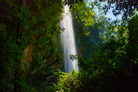 Beautiful Waterfall Misol Ha among green leaves. Palenque, Chiapas, Mexico