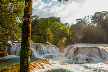 Beautiful landscape with waterfall Agua Azul, Chiapas, Palenque, Mexicoの写真素材