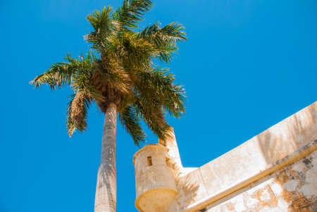 San Francisco de Campeche, Mexico: Old fortress wall, entrance and palm trees on blue sky backgroundの写真素材