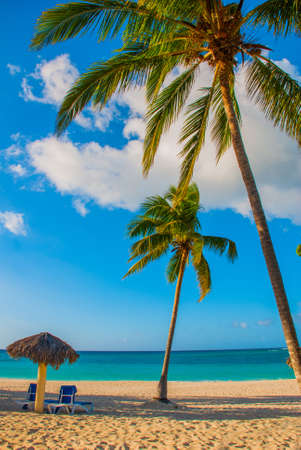 Holguin, Cuba, Playa Esmeralda. Umbrella and two lounge chairs around palm trees. Tropical beach on...