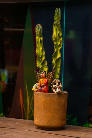 Playa del Carmen, Mexico, Riviera Maya: Cactus in a pot and skull.の写真素材
