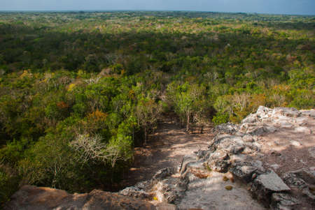 Coba, Mexico, Yucatan: top view of the jungle from the great pyramid of Coba Nohoch Mul.の写真素材