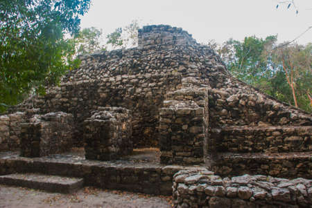 Coba, Mexico, Yucatan: Archaeological complex, ruins and pyramids in the ancient Mayan city.の写真素材