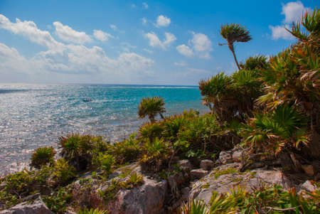 Panorama tropical landscape top view of the Caribbean sea, rocks, trees and bushes. Tulum, Mexico, Yucatan.の写真素材