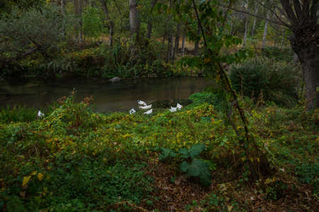 Ihlara Valley in Cappadocia. Ihlara Valley, Peristrema Monastery or Ihlara Gorge is the most famous valley in Turkey for hiking excursions. Green tour.の写真素材