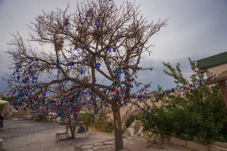 Cappadocia, Turkey: Tree hanging Nazar amulets, a special eye-shaped objects that protect against the evil eye. Tree hanging Nazar amulets, a special eye-shaped objects that protect against the evil eyeの写真素材