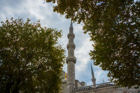 one Minaret of the Blue mosque between the trees. The biggest mosque in Istanbul of Sultan Ahmed -...