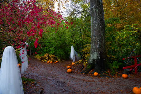 Halloween holiday. Orange pumpkins and white veil scenery of the Park. Denmark, Egeskov Castleの写真素材