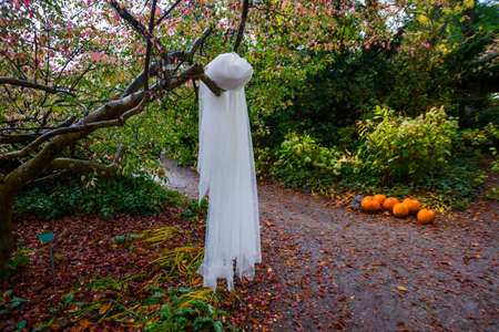 Halloween holiday. Orange pumpkins and white veil scenery of the Park. Denmark, Europe, Egeskov Castleの写真素材