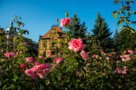 Brasov, Romania, Europe: Street of Brasov city in Romania. Brasov sits in Transylvania region of Romania.の写真素材