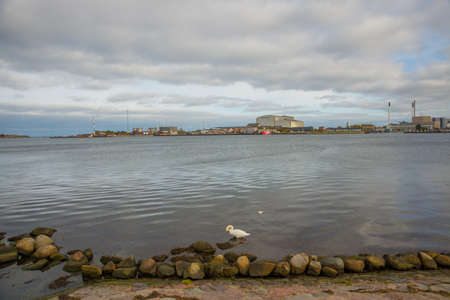 COPENHAGEN, DENMARK: White Swan in the water. Beautiful panoramic view from the waterfront. Copenhagen Denmarkの写真素材
